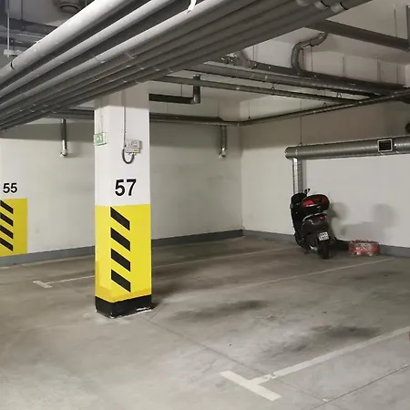 33 * Krakau
